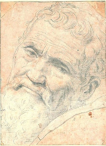 Portrait of Michelangelo by Volterra